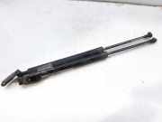 Gasdruckfedern Set Hinten 10C12C1 Mazda 6 (GH12/GHA2) Limousine 2.2 CDVi 16V 130 (R2)