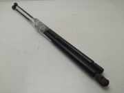 Gasdruckfedern Set Hinten 9621907680 Citroën CITROEN XSARA BERLINA 1.6i 16V SX 109 CV / 80 KW