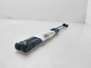 Gasdruckfedern Set Hinten 96540939 Daewoo / Chevrolet Aveo (250) Schr?gheck 1.2 16V (B12D1)