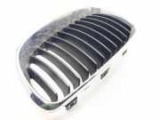 Grill 51137166439 BMW 1 serie (E87/87N) Schrägheck 5-drs 118d 16V (N47-D20C)