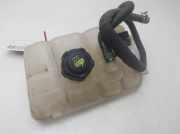 Ausgleichbehälter - 217104048R Renault Megane IV (RFBB) Schrägheck 5-drs 1.3 TCe 160 16V (H5H-470(H5H-B4))