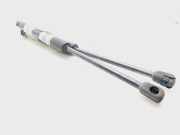 Gasdruckfedern Set Hinten 81781G2000 Hyundai Ioniq Liftback 1.6 GDI 16V Hybrid (G4LE)