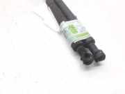 Gasdruckfedern Set Hinten 51248254281 BMW 3 serie (E46/4) Limousine 320d 16V (M47-D20(204D1))