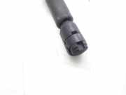 Gasdruckfeder Set Vorne 9621907680 Citroën CITROEN BERLINA 1.9 D SX 69 CV / 51 KW