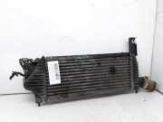 Ladeluftkühler 14461EB360 Nissan (R51) 2.5 dCi SE 174 CV / 128 KW