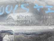 Türgriff Außen Links Hinten 9631831077 Citroën C5 II Berline (RC) Schrägheck 2.0 HDiF 16V (DW10BTED4(RHR))