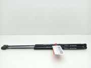 Gasdruckfedern Set Hinten 8200377199 Renault Scénic II (JM) Großraumlimousine 1.9 dCi 120 (F9Q-812)