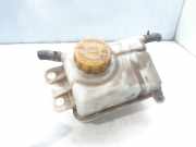 Ausgleichbehälter - 96817343 Daewoo / Chevrolet Kalos (SF48) Schrägheck 1.2 (B12S1)