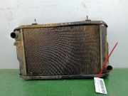 Radiator 7701348798 Renault BERLINA/FAMILIAR/FURGONETA Básico / L (R 1123) 3 CV / 25 KW