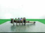 Stoßdämpfer Rechts Vorne 1518924 Ford Transit Connect Van 1.8 Tddi (R2PA)