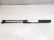 Gasdruckfeder Set Vorne HK8316C826AA Jaguar F-Pace SUV 2.0 D e-Performance 16V (204DTD)