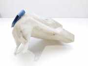 Scheibenwaschbehälter 6N0955453C Seat Arosa (6H1) Schrägheck 3-drs 1.0 MPi (ALD)