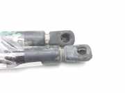 Gasdruckfedern Set Hinten 8N0823359 Audi TT (8N3) Coupé 1.8 20V Turbo (AJQ)