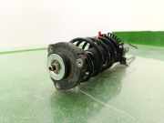 Stoßdämpfer Rechts Vorne 6Q0413031BJ Skoda Fabia (6Y2) Schrägheck 5-drs 1.4 TDI 70 (BNM)