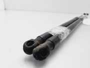Gasdruckfedern Set Hinten BM51A406A10AE Ford LIM. (CB8) Trend 116 CV / 85 KW