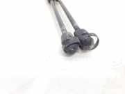 Gasdruckfedern Set Hinten 7700842256 Renault Clio II (BB/CB) Schrägheck 1.9 D (F8Q-630)