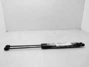 Gasdruckfedern Set Hinten A1699800864 Mercedes-Benz B (W245) Schrägheck 2.0 B-200 16V (M266.960)