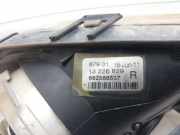 Nebelscheinwerfer Rechts Vorne 13226829 Opel Insignia Schrägheck 5-drs 2.0 CDTI 16V 130 Ecotec (A20DTH)