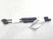 Gasdruckfeder Set Vorne 9656593180 Peugeot 407 SW (6E) Kombi 2.0 HDiF 16V (DW10BTED4(RHR))
