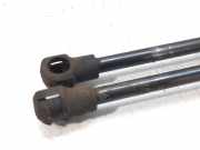 Gasdruckfedern Set Hinten 96940954 Daewoo / Chevrolet Lacetti (KLAN) Schrägheck 1.4 16V (F14D3)