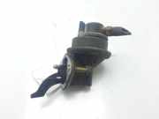 Kraftstoffpumpe 6132168 Ford BERL./EXPRESS L 45 CV / 33 KW
