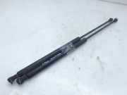 Gasdruckfedern Set Hinten 8731F6 Citroën CITROEN BERLINA 2.0 HDi SX 109 CV / 80 KW