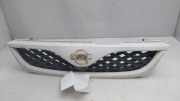 Grill 623102N410 Nissan ALMERA (N15) GX 87 CV / 64 KW