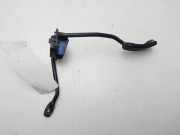 Gaspedal - - 8200415019 Renault II FASE II (B/CB0) Expression 58 CV / 43 KW