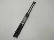 Gasdruckfedern Set Hinten 51778432 Fiat Grande Punto (199) Schrägheck 1.9 Multijet (939.A.7000)