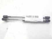 Gasdruckfedern Set Hinten 3B5827550E Volkswagen Passat (3B3) Limousine 2.5 TDI V6 24V (BDG) BDG