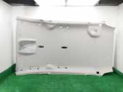 Verkleidung Himmel AM51U51916DF3AM1 Ford Grand C-Max (DXA) Großraumlimousine 1.0 Ti-VCT EcoBoost 12V 125 (M1DA(Euro 5))