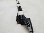 Gasdruckfedern Set Hinten BM51A406A10AE Ford Focus 3 Schr?gheck 1.6 TDCi 115 (T1DA)