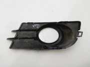 Grill 5N0853666E Volkswagen Tiguan (5N1/2) SUV 2.0 TDI 16V Blue Motion (CUVE) CUVE