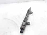 Einspritzdüsen Düsenstock 8945871010 Toyota RAV4 (A3) Geländewagen 2.2 D-4D 16V 4x4 (2AD-FTV(Euro 4))