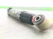 Stoßdämpfer Links Hinten 5206TJ Peugeot 106 II Schrägheck 1.1 XN,XR,XT,Accent (TU1JP(HFX))