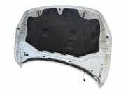 Motorhaube 31335883 Volvo V60 I (FW/GW) Kombi 2.4 D5 20V (D5244T15)