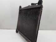 Radiator 1640023100 Toyota Yaris (P1) Schrägheck 1.0 16V VVT-i (1SZFE)