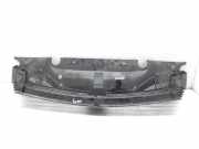 Grill 8200012581 Renault Laguna II (BG) Schrägheck 5-drs 1.9 dCi 100 (F9Q-752)