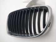 Grill 51137166439 BMW 1 serie (E87/87N) Schrägheck 5-drs 118d 16V (N47-D20C)