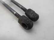 Gasdruckfedern Set Hinten A1699800764 Mercedes-Benz B (W245) Schrägheck 2.0 B-200 CDI 16V (OM640.941)