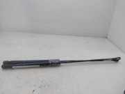 Gasdruckfedern Set Hinten 9647295480 Citroën C4 Berline (LC) Schrägheck 5-drs 1.6 HDi 16V 110 (DV6TED4(9HZ))