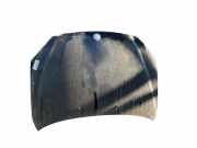 Motorhaube 6101109111 SsangYong Kyron SUV 2.0 M 200 Xdi 16V 4x4 (D20DT(OM664.950))