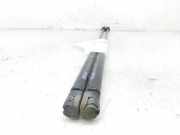 Gasdruckfedern Set Hinten 132677 Opel ASTRA G BERLINA Club 75 CV / 55 KW