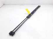 Gasdruckfedern Set Hinten 2S51B406A10AD Ford Fiesta 5 (JD/JH) Schrägheck 1.3 (A9JA)