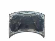 Motorhaube 55076470AE Jeep Grand Cherokee (WG/WJ) SUV 3.1 TDI (665.921)