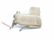 Ausgleichbehälter - - 217102S60A Nissan King Cab/Pickup 4x4 (D22) Pick-up 2.5 Tdi (TD25i)