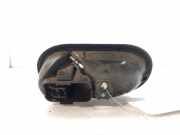 Türgriff Innen Rechts Vorne 8200310580 Renault Clio III (BR/CR) Schrägheck 1.5 dCi 70 (K9K-768)