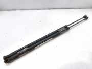 Gasdruckfedern Set Hinten 2S61A406A10AC Ford Fiesta 5 (JD/JH) Schrägheck 1.4 TDCi (F6JA)