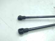 Gasdruckfeder Set Vorne 51232990344 BMW X1 (E84) SUV sDrive 20d 2.0 16V (N47-D20C)