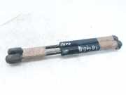 Gasdruckfeder Set Vorne 904637210512 Opel Vectra B (36) Limousine 2.0 DTi 16V (Y20DTH)